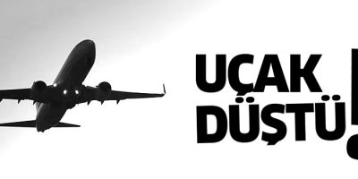 Yolcu uçağı düştü, çok sayıda ölü var