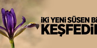 Hakkari’de iki yeni süsen bitkisi keşfedildi