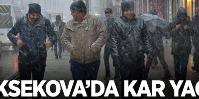 Yüksekova’da kar yağışı