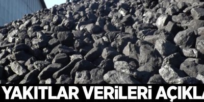 Katı yakıtlar verileri açıklandı