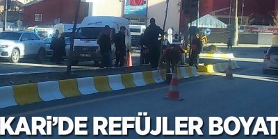 Hakkari’de refüjler boyatıldı