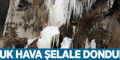 Soğuk hava şelale dondurdu