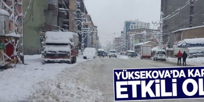 Yüksekova'da kar yağışı etkili oldu