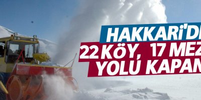22 köy ile 17 mezra yolu ulaşıma kapandı