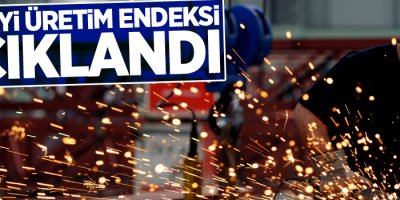 Sanayi üretim endeksi açıklandı