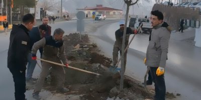 Hakkari Belediyesinden hummalı çalışma