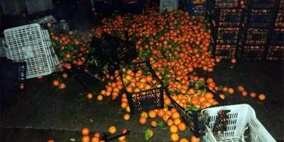 Sebze pazarında kundaklama şüphesi