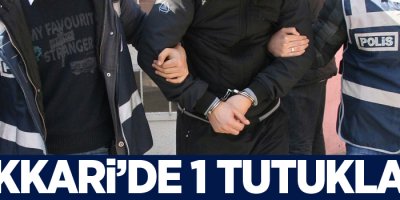 Hakkari'de 1 kişi tutuklandı