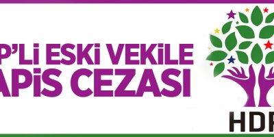 HDP'li eski vekile 8 yıl 9 ay hapis cezası