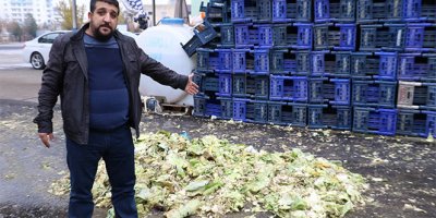 Kaşla göz arasında 3,5 ton lahana çaldılar