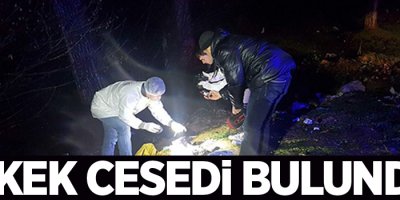 Erkek cesedi bulundu