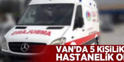 Van'da 5 kişilik aile hastanelik oldu!