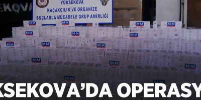 Yüksekova'da operasyon