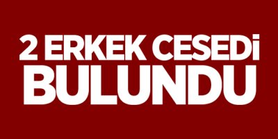 2 erkek cesedi bulundu