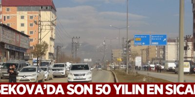 Yüksekova'da son 50 yılın en sıcak kışı