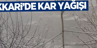 Hakkari’de kar yağışı