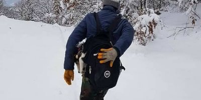 Hastalanan köpeğini çantasında 7 kilometre taşıdı