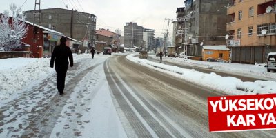 Yüksekova'da Kar Yağışı