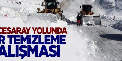 Van-Bahçesaray yolunda karla mücadele çalışması