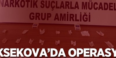 Yüksekova'da operasyon!