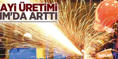 Sanayi üretimi Kasım'da arttı