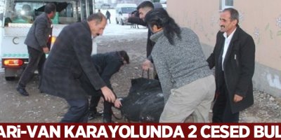 2 erkek cesedi bulundu