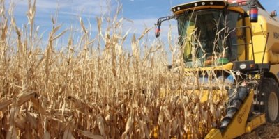 Tarım Kredi’den çiftçilere tarım sigortası çağrısı