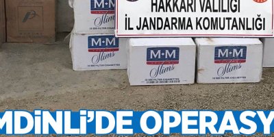 Şemdinli'de operasyon