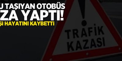 Yolcuları taşıyan otobüs kaza yaptı: 9 ölü