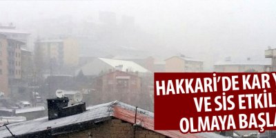 Hakkari’de kar yağışı ve sis etkili oldu