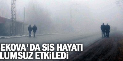 Yüksekova'da sis hayatı olumsuz etkiledi