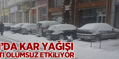 Van'da kar yağışı hayatı olumsuz etkiliyor