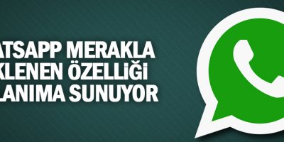 WhatsApp merakla beklenen özelliği kullanıma sunuyor
