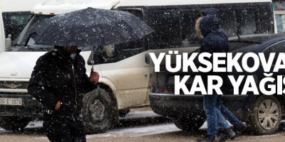 Yüksekova'da Kar Yağışı
