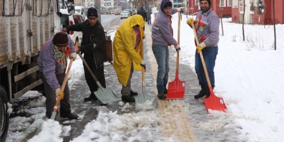 Bingöl'de karla mücadele çalışmaları
