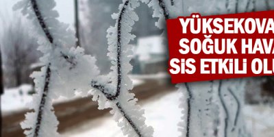 Yüksekova'da soğuk hava ve sis etkili oluyor