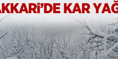 Hakkari’de kar yağışı ve sis