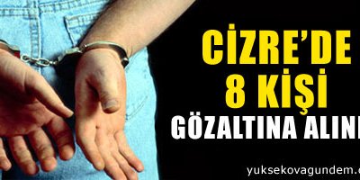 Cizre'de 8 kişi gözaltına alındı