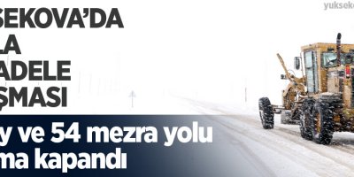 Yüksekova'da 14 köy ve 54 mezra yolu kardan kapandı