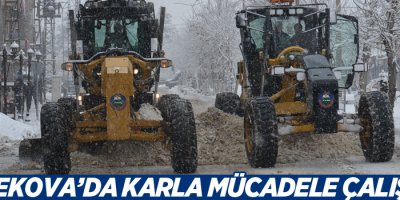 Yüksekova’da karla mücadele çalışması