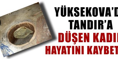 Gever'de tandıra düşen kadın hayatını kaybetti