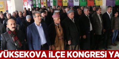 HDP Yüksekova ilçe kongresi yapıldı