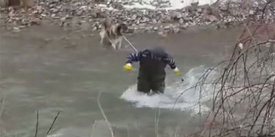 Çayda mahsur kalan köpek kurtarıldı