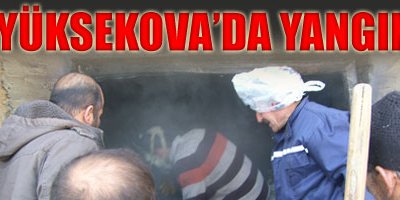 Yüksekova'da Yangın