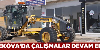 Yüksekova'da çalışmalar devam ediyor
