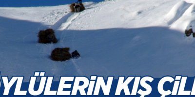 Yüksekova'da kış çilesi