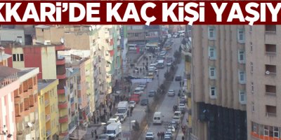Hakkari'de kaç kişi yaşıyor? İşte illerin nüfusu