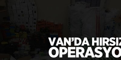 Van'da hırsızlık operasyonu: 2 tutuklama