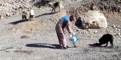 Hakkari’de sokak hayvanlarına yiyecek bırakıldı