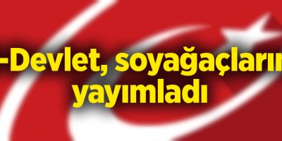 E-Devlet, soyağaçlarını yayımladı